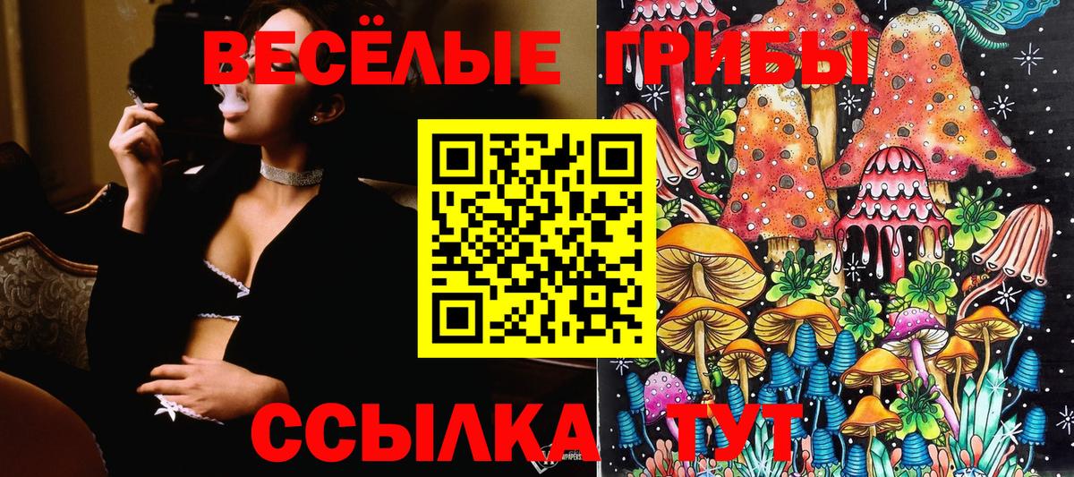 Меф   Alpha-PVP СОЛЬ   Каннабис  Ливны  МЕФ   Гашиш  КОКАИН 