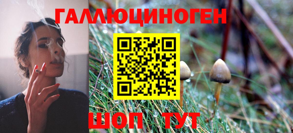 Псилоцибиновые грибы ЛСД Ливны