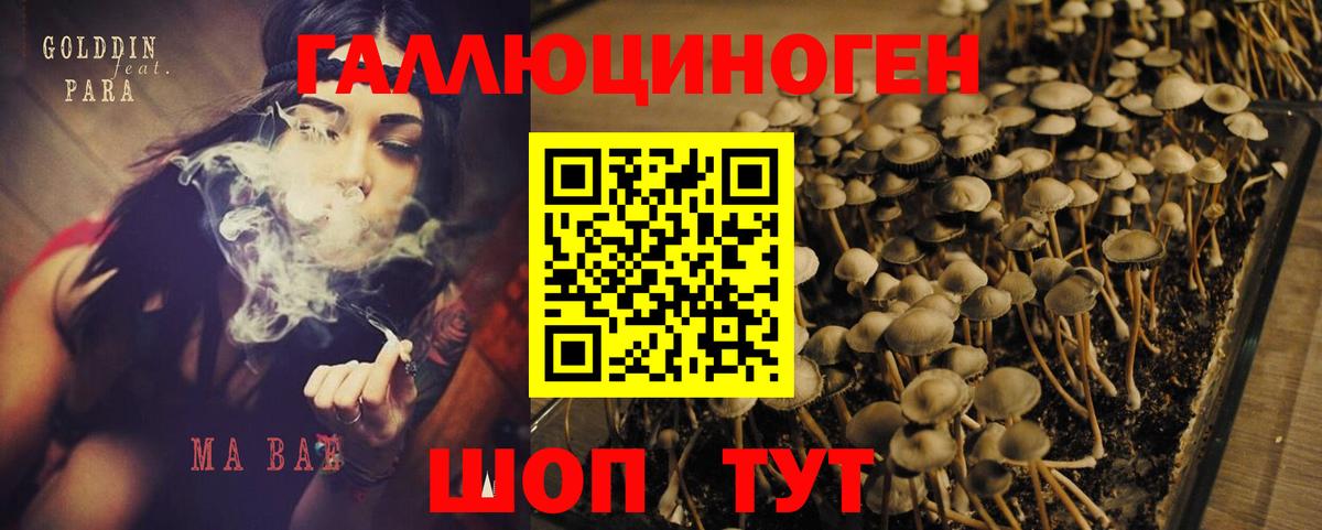 Псилоцибиновые грибы мицелий  купить наркоту  Ливны 